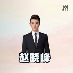 赵晓峰