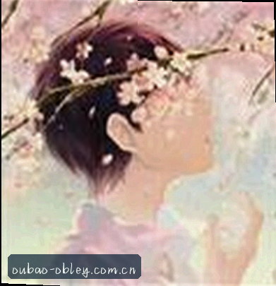 赵敏